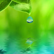 Refreshing retreat